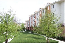 Photo23240