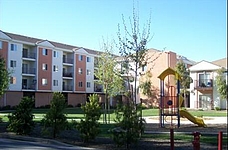 Photo23242