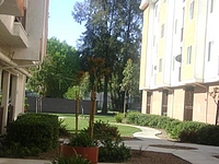 Photo23245